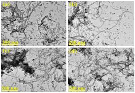 By clicking on accept cookies, you consent to the use of all cookies. Nanomaterials Free Full Text Non Supported Nickel Based Coral Sponge Like Porous Magnetic Alloys For Catalytic Production Of Syngas And Carbon Bio Nanofilaments Via A Biogas Decomposition Approach Html