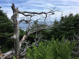 Facility serves as a centralized warehouse with manufacturing capabilites and includes customer service, sales and marketing departments. Englischsprachige Literatur Buchpost