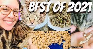 The best cheap cat food buyer's guide. Best Cat Food Brands Healthiest Foods I Use And Recommend