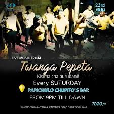 Banza stone elimu ya mjinga. Twanga Pepeta Family
