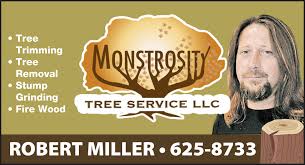 We believe that service is the key. Tree Trimming Monstrosity Tree Service Llc Sahuarita Az