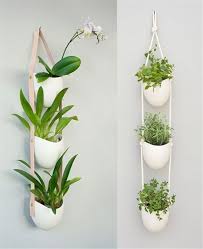 If you're short on space or light, turn to these indoor hanging plants to add real succulents, flowers, or greens to your home. 60 Impressive And Simple Indoor Hanging Plants Ideas For Your Home Decor Women Fashion Lifestyle Blog Shinecoco Com Hanging Plants Diy Hanging Plants Hanging Plants Indoor