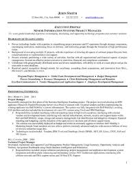 Check out this senior project manager job description sample to better understand the role itself which is useful in writing a targeted resume. A Professional Resume Template For A Senior Project Manager Want It Download It Now Project Manager Resume Manager Resume Executive Resume Template