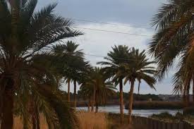 إذا رأيت المرء يكثر من قول اللهم حديثة ام الكرم والطيب Facebook