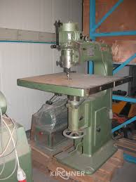 Image result for Frommia