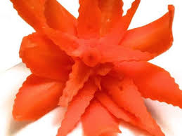 Vous pouvez facilement faire une fleur au crochet avec quelques articles simples. Recettes De Legume Et Fleurs