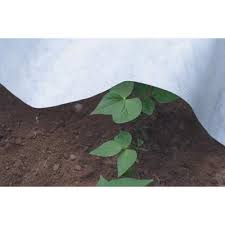We did not find results for: Row Covers Frost Blankets Growers Supply