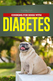 Commercial diabetic dog foods commonly list the percentage of protein and fat on the label. What To Feed A Diabetic Dog And What Not To Diabetic Dog Diabetic Dog Food Dog Food Recipes