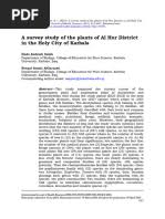 Image result for Cystostemon hispidissimus