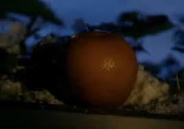 Image result for Tangerine 1956 Fleet