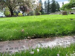 Flora Leola Baker Gleason (1887-1965)