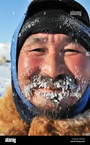 Sled dog handler hi-res stock photography and images