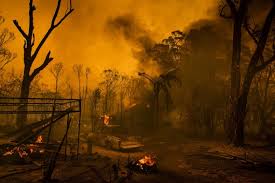 Bildergebnis für Matthew Abbott