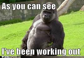 Funny Quotes About Working Out. QuotesGram via Relatably.com