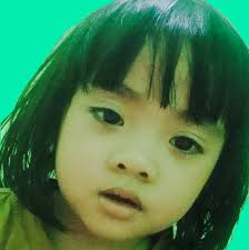 Stealth Bombers : B-21 Raider (USA)