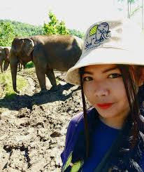 A sweet way to spend some time near Chiang Mai is to hang out with these  lovely girls, Tomato and Papaya. My mate Eddy has this place, Elephant  Sanctuary Care Park. He