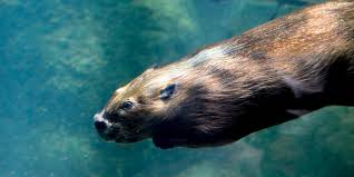 We did not find results for: This Is What You Can Eat On Fridays During Lent