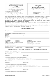 A compter du début de votre mandat, ce document est à transmettre au juge des tutelles dans un délai maximum de : Https Www Cours Appel Justice Fr Sites Default Files 2019 05 Tiboulognebinventaire2019 Pdf