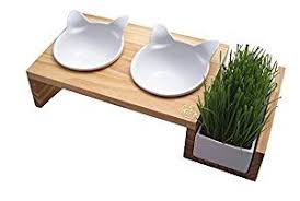 Classy Looking Cat Food And Water Bowls With Cat Grass Perfect For Keeping Your Home Chic While Providing For You Cats Cat Bowls Cat Supplies Diy Cat Feeder