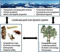 What causes the bugs to get to your bed? Landscape Features And Processes Influencing Forest Pest Dynamics Springerlink
