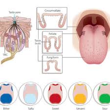 A marketplace report on the dating app scene found that the top 20 you'll also find a free livestream feature that encourages dating over video. Over 50 Dating In Austin Dating Sites Age 50 Bbw Lesbian Dating Sites