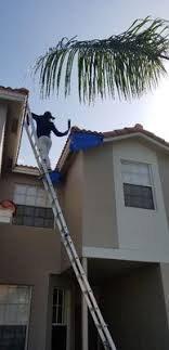 For termite and pest control, boca raton, fl homeowners can expect effective pest, termite and lawn care solutions from hulett pest control. Armor Pest Protection 9410 Sw 8th St Ste 1 Boca Raton Fl Pest Control Mapquest