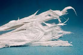 death certificate that states &quot;mesothelioma&quot; Asbestos Deaths Remain A Public Health Problem Shots Health News Npr