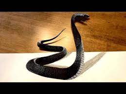 It S Alive Scary Snake 3d Drawing Optical Illusion Youtube Scary Optical Illusions Optical Illusions Illusions