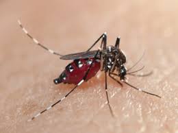 La porte economic advancement partnership. All Eyes On Washington Pct Pest Control Technology