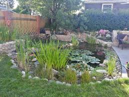 Ponds Aquatic Life Koi Fish Flowers Water Lilys Waterfalls Plants Lighting More With Calgary Water Features In The Garden Garden Fountain Water Garden