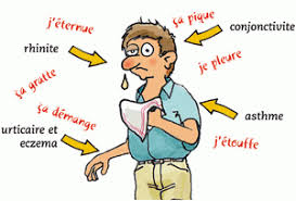 Garde J Aurais Une Question Les Allergies Saisonnieres Allergies This Or That Questions About Me Blog