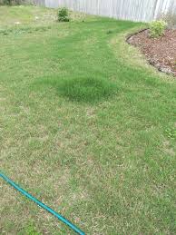 The application rate at this time is 32 pounds per 2,500. Milorganite Spill Lawncare