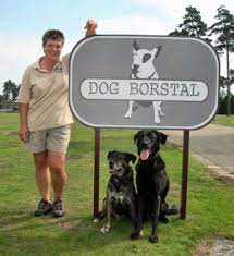 Meet An Expert Tv Dog Trainer - Eaton Bray