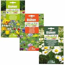 Scarica tutte le foto e usale anche per progetti commerciali. Inkeme Giardino Semi Di Cardo Nobili Blueryngium Planum Semi Di Fiori Semi Perenni Fiori Estivi Perenni Resistenti Per Aiuole Prati Giardino E Giardinaggio Sementi Garoma De