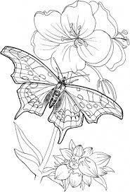 Leave a comment below and share with us! Free Printable Coloring Pages For Adults Only Flowers Coloring And Drawing