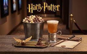 Harry Potter Piedra Filosofal
