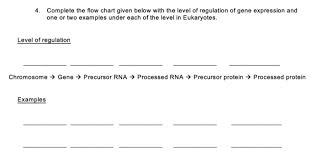 Solved 4 Complete The Flow Chart Given Below With The Lev