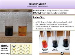 Igcse Edexcel Biology Revision Igcse Edexcel Revision