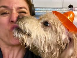 Jill Showalter, Author at Wednesday Journal