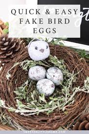 Bird Eggs For Sale How To Make Fake Bird Eggs From Polymer Clay Fake Birds Bird Eggs Spring Diy