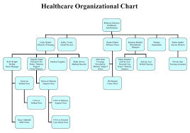 Home Organization Chart Template Free Organizational Chart