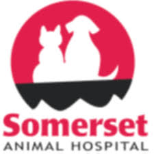 247 pet hospital near me. Best Veterinary Hospital In Somerset Wi Somerset Animal Hospital