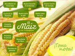 El Maiz Y Sus 10 Beneficios Health Food Workout Food Food