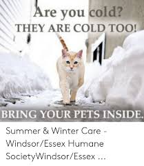 With sympathy on the loss of your beloved animal companion. Are You Cold They Are Cold Too Bring Your Pets Inside Summer Winter Care Windsoressex Humane Societywindsoressex Winter Meme On Ballmemes Com