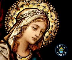 Meet Fr. Nick Zrallack, Parochial Vicar, at St. Helen Catholic Church.