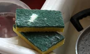 Assalamualaikum wbt.saya ingin tunjukkan bagaimana untuk membasuh kereta menggunakan sabun pencuci pinggan. Span Basuh Pinggan Boleh Jadi Punca Penyakit Buzzkini