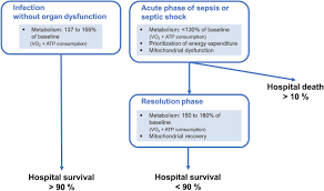 We did not find results for: Energetic Dysfunction In Sepsis A Narrative Review Annals Of Intensive Care Full Text