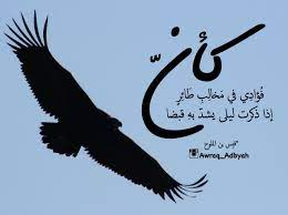 أوراق أدبية شعر أدب و اقتباسات ألا أي ه ا الش ي خ ال ذ ي م ا ب ن ا ي ر ض ى Arabic Words Love Quotes Arabic Quotes