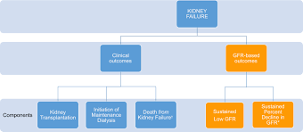 (v) acute renal failure frequently develops in fulminant hepatic failure. International Consensus Definitions Of Clinical Trial Outcomes For Kidney Failure 2020 Kidney International