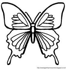 Unduh 640 gambar animasi kartun kupu kupu hd terbaru. Contoh Gambar Download Gambar Mewarnai Kupu Kupu Kataucap
